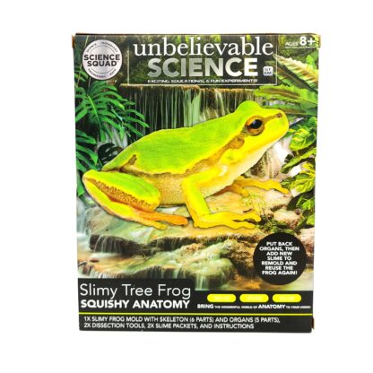 Unbelievable Science Slimy Tree Frog Squishy Anatomy 1